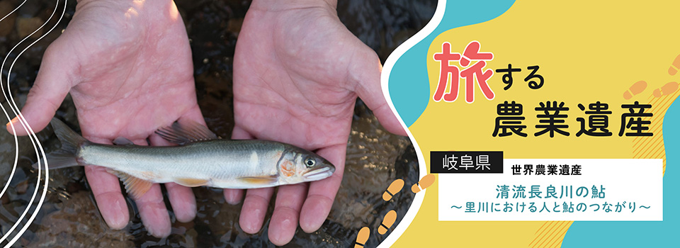 岐阜県 世界農業遺産 清流長良川の鮎～里川における人と鮎のつながり～