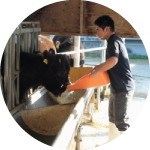 目指すはプロフェッショナル