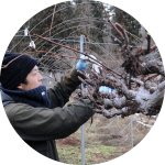 夢に向かって羽ばたく若き農業者