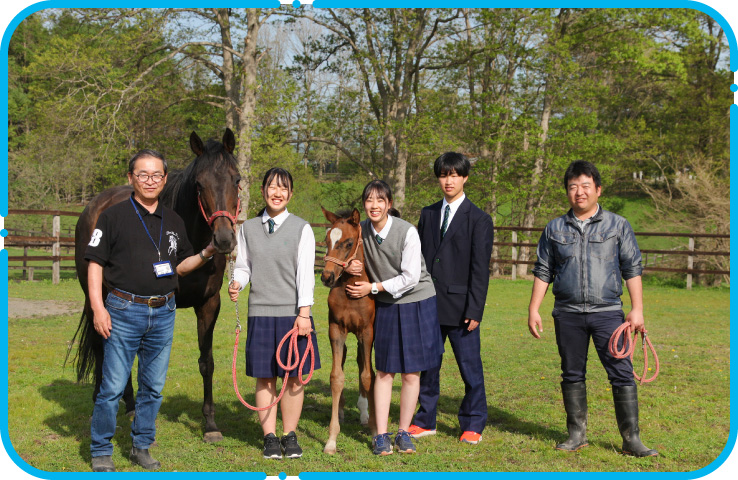 馬の親子と一緒に