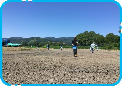 そば畑での種まき実習