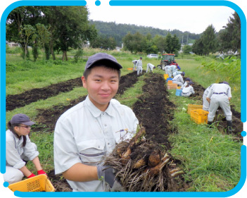 サトイモの超促成栽培に取り組んだ山形県立村山産業高等学校