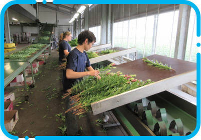 日替わり小鉢の県農御膳