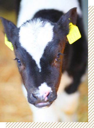 高田さんの作品