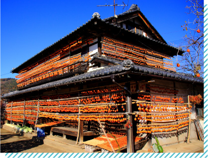 枯露柿（ころがき）