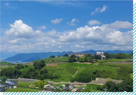 勝沼ぶどうの丘