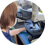 養殖業の発展を支える 水産獣医師の仕事