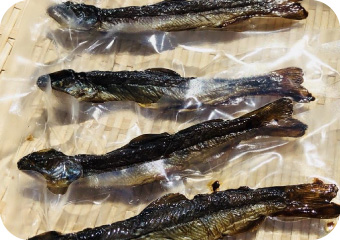 新潟八海山いわな焼き干し