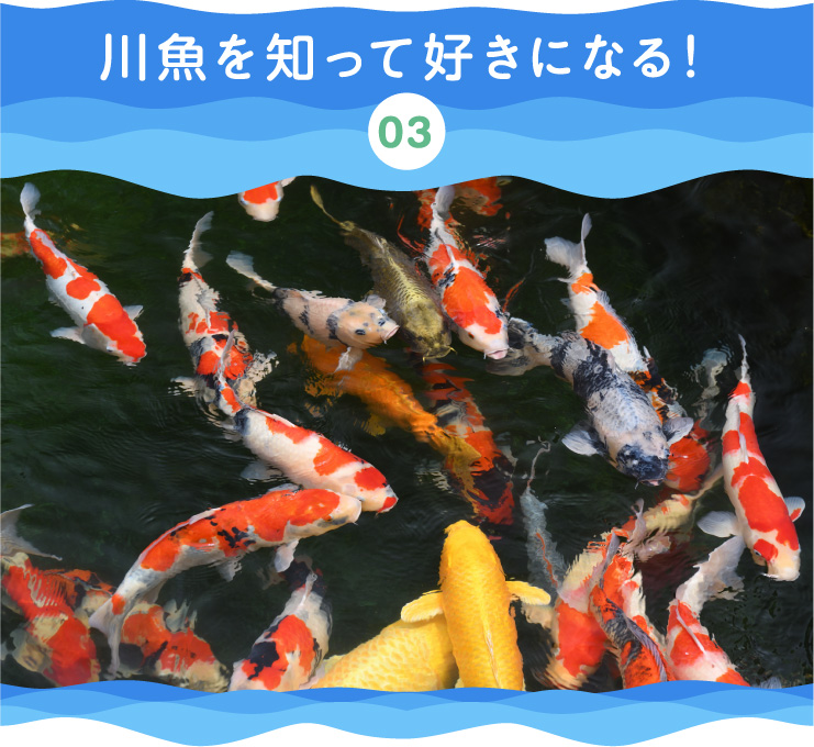 川魚を知って好きになる！
