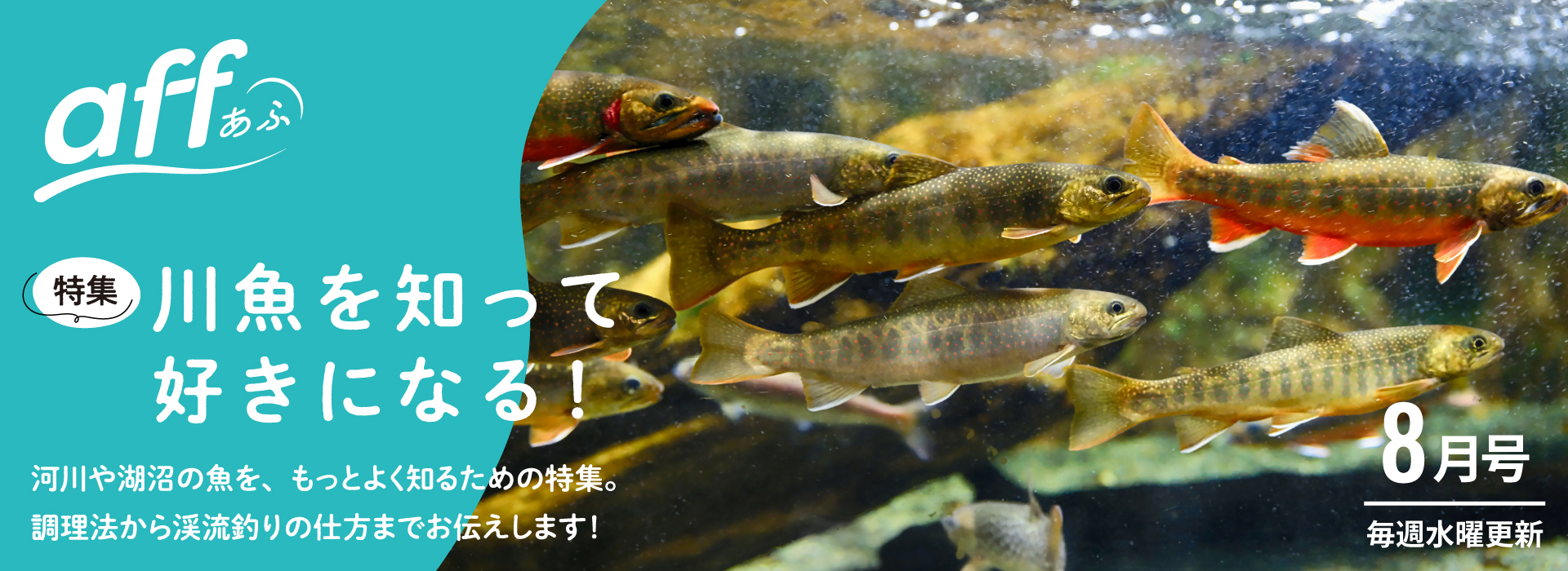川魚を知って好きになる！