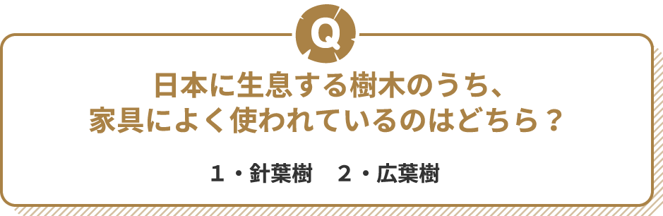 Q 日本に生息する樹木のうち、家具によく使われているのはどちら？ １・針葉樹　２・広葉樹