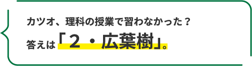 カツオ、理科の授業で習わなかった？ 答えは「２・広葉樹」。