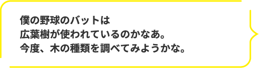 僕の野球のバットは
											広葉樹が使われているのかなあ。今度、木の種類を調べてみようかな。