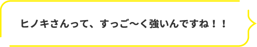 ヒノキさんって、すっご～く強いんですね！！