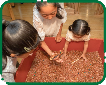 兵庫県産の木製そろばん玉