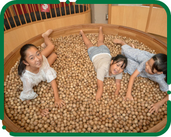 北海道産の広葉樹の木玉
