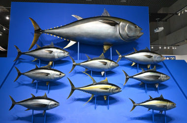 マグロの実物大模型
