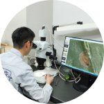 病気から守るために【植物防疫官】