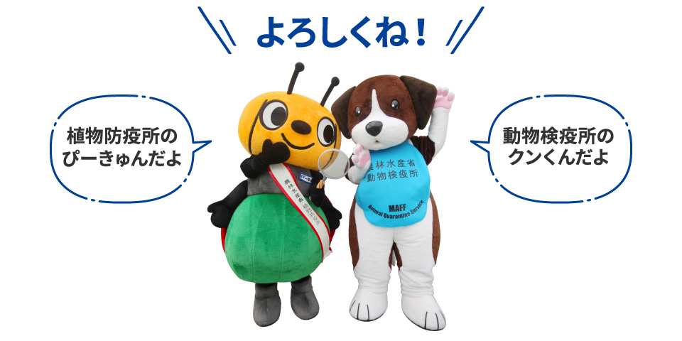 よろしくね！ 植物防疫所のぴーきゅんだよ 動物検疫所のクンくんだよ
