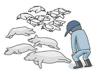 豚や鶏などの大量死 イメージ