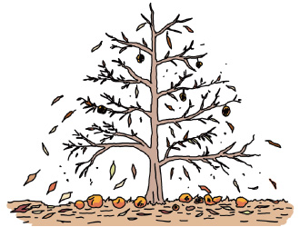 農産物に大きな被害 イメージ