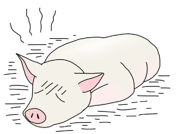 アフリカ豚熱（ASF）