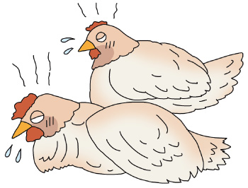 高病原性鳥インフルエンザ（HPAI）