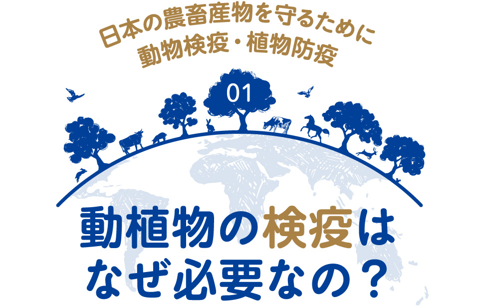 日本の農畜産物を守るために動物検疫・植物防疫 01　動植物の検疫はなぜ必要なの？