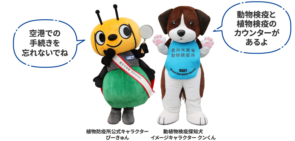 空港での手続きを忘れないでね（植物防疫所公式キャラクター ぴーきゅん）　動物検疫と植物検疫のカウンターがあるよ（動植物検疫探知犬イメージキャラクター クンくん）