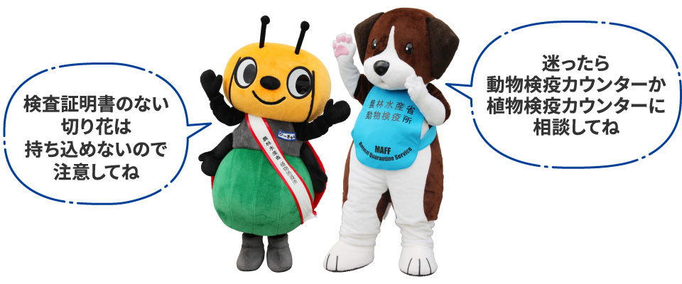 検査証明書のない切り花は持ち込めないので注意してね／迷ったら動物検疫カウンターか植物検疫カウンターに相談してね