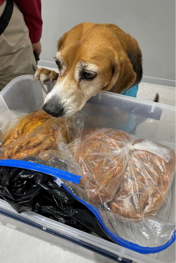 携帯品及び郵便として持ち込まれた禁止品等（10万7.363件）の43％　※2022年速報値