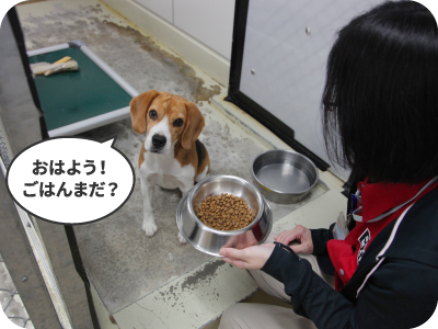 食事：おはよう！ごはんまだ？