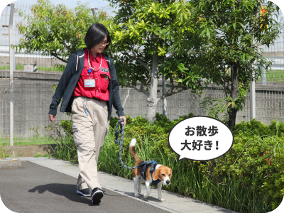 朝の散歩・排泄：お散歩大好き！