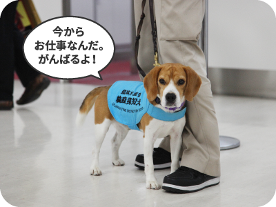 今からお仕事なんだ。がんばるよ！