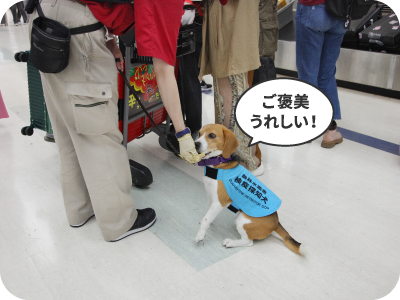 ご褒美 うれしい！