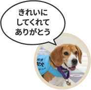 きれいにしてくれてありがとう