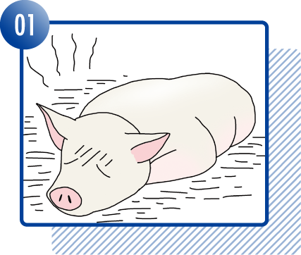 動植物の検疫はなぜ必要なのか