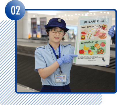 旅先のお土産も注意！肉や果物などの持ち込み 空港の手順