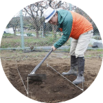 葉物野菜を上手に育てるヒケツ