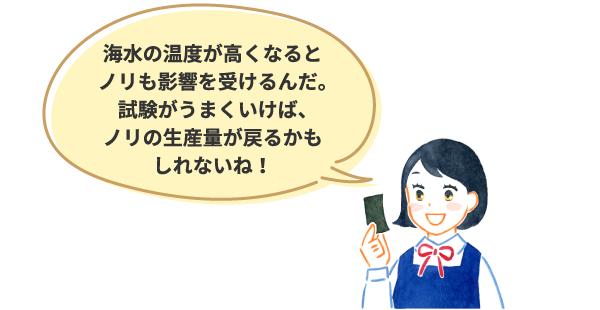 海水の温度が高くなるとノリも影響を受けるんだ。試験がうまくいけば、ノリの生産量が戻るかもしれないね！