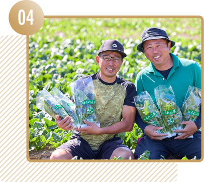 輸入原料に頼らない国内資源由来の肥料をつくる