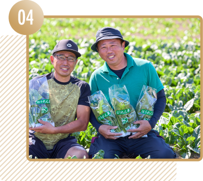 輸入原料に頼らない国内資源由来の肥料をつくる