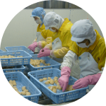 育てて獲る漁業へ転換 オホーツク海で育まれた北海道猿払村の「ホタテ」