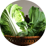 冬もおいしい葉物野菜