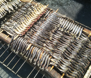 鯖子（サバの小魚）のあぶり