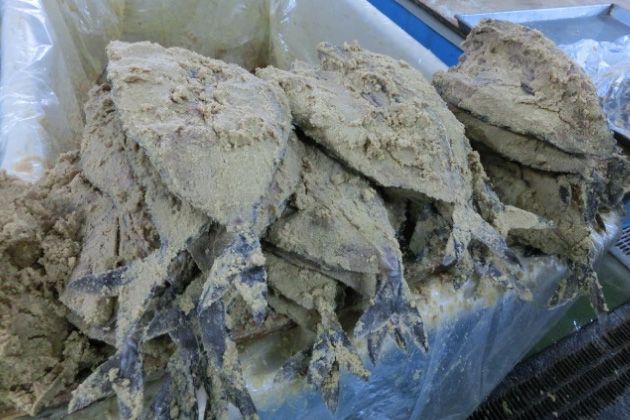 サバのぬか漬け