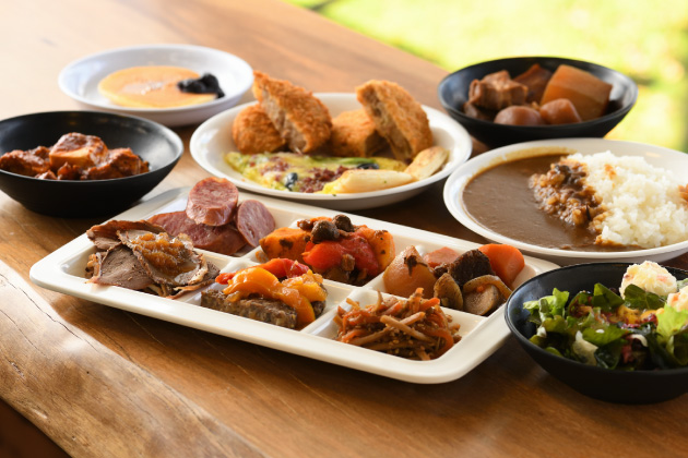 イノシシ肉のカレー