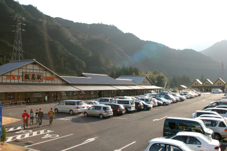 自然豊かな環境