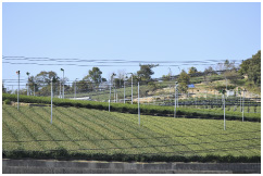 道の駅 お茶の京都　みなみやましろ村