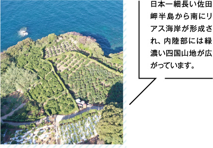 日本一細長い佐田岬半島から南にリアス海岸が形成され、内陸部には緑濃い四国山地が広がっています。